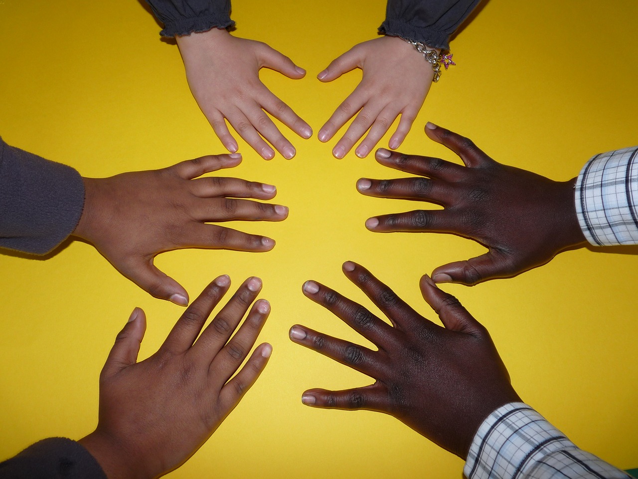 Hand 1137978 1280 image by falco from pixabay